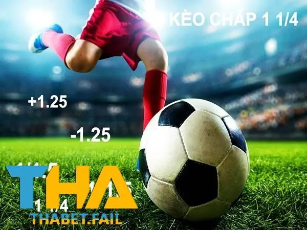 Kèo Chấp 1.25 Là Gì? Hướng Dẫn Chi Tiết Tại Thabet 3 Xem xét các bảng tỷ lệ cược từ các nhà cái